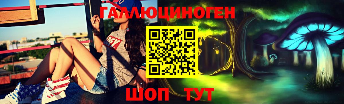 Ленинск-Кузнецкий  Галлюциногенные грибы Cubensis  Вход с VPN 